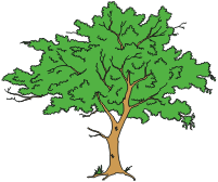 tree